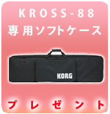 ��P��KROSS-88�����ѥ��եȥ�����