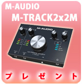PM-AUDIO M-TRACK 2x2M