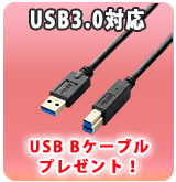 【P】USB3.0対応USB Bケーブルプレゼント