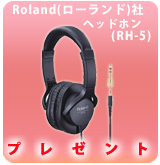 ��P�ۥ�˥����إåɥե���(RH-5)�ץ쥼���