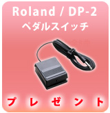 PRoland DP-2 ڥ륹å