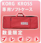 ��P��KROSS���ѥ��եȥ����� �ץ쥼���