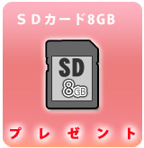 [P]SDカード8GB