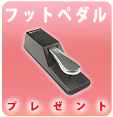 ��P��M-Audio(���ࡦ�����ǥ���) / SP-2