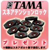 ��P��TAMA���ͥ��ƥ󥷥����å�[TTL10] �ץ쥼���