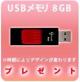 【P】USBフラッシュメモリ4GB