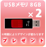 ��P��USB�ե�å������8GB��2