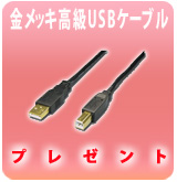 [P]���å����USB�����֥롡�ץ쥼���