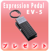 PExpression Pedal EV-5ץ쥼