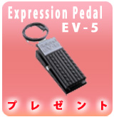 ��P��Expression Pedal EV-5�ץ쥼���