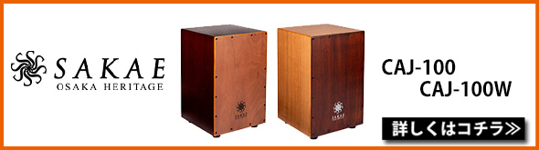 �ڲ����CAJ-100/CAJ-100W