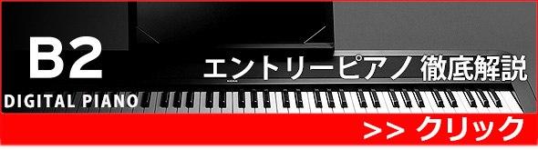 ��BIG�ۡ�Ű�����ۡ�KORG / B2��