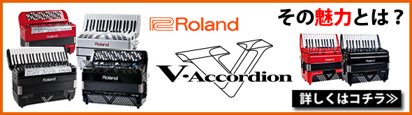 V�������ǥ������̥�ϡ�