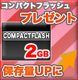 ����ѥ��ȥե�å���2GB�����ӥ�