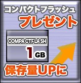 ����ѥ��ȥե�å���1GB�����ӥ�