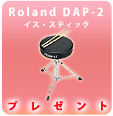 [P]Roland / DAP-2 �ץ쥼���