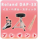 [P]Roland / DAP-3X �ץ쥼���
