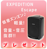 ��P��Expedition Escape �ץ쥼���