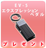 ��P��EV-5  �ץ쥼���