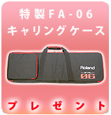 ��P��FA-06�����ꥱ����