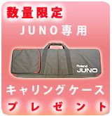 ��P�ۿ��̸���JUNO���ѥ�����