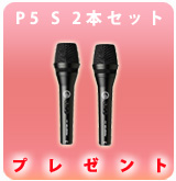 ��P��P5 S [�����å���] 2�ܥ��åȥץ쥼���