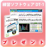 ��P��Roland �Żҥɥ���������ե�(DT-1)