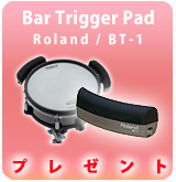 ��P�ۥС����ȥꥬ�����ѥå�BT-1 �ץ쥼���