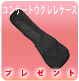 ��P�ۥ��󥵡��ȥ�����쥱�����ץ쥼��ȡ�