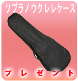 ��P�ۥ��ץ�Υ�����쥱�����������ץ쥼��ȡ�