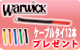 【S】Warwickケーブルタイレインボー12本セットプレゼント！